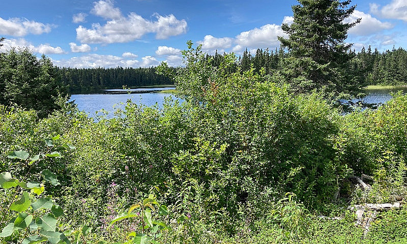 Cottage Land/Cabin $...