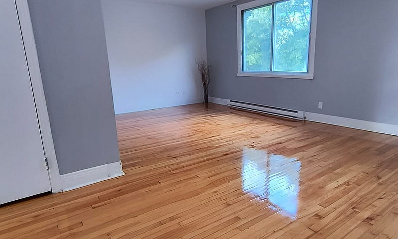 Apartment For Rent...