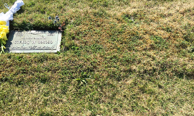Cemetery Plot For Sa...