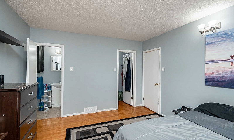 Spacious 4 ×1 Bdrm B...