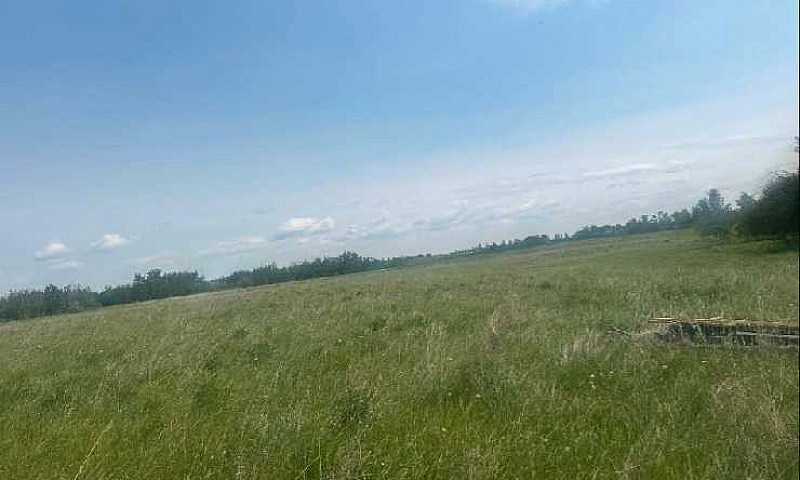 Land For Sale - Lac ...