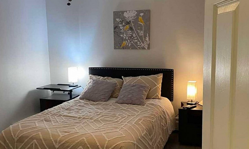 Move-In Ready 1-Bed ...