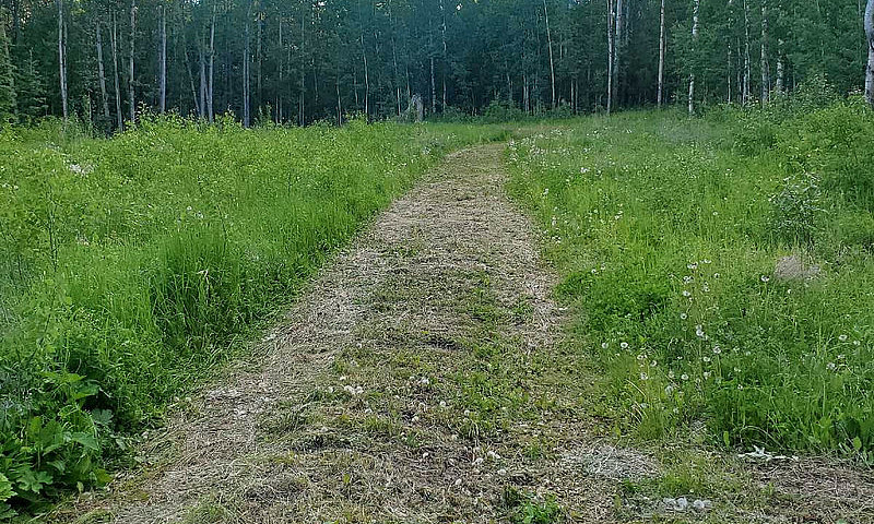 10 Acres Of Paradise...