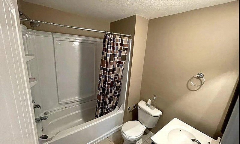 Basement For Rent Ha...