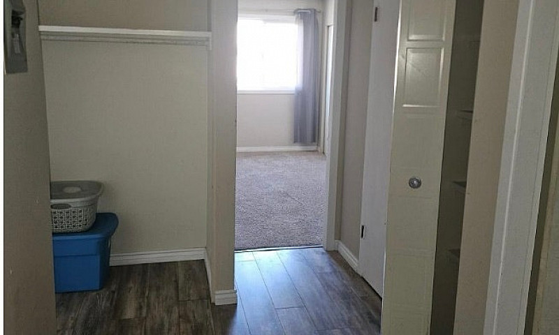 Apartment Condo For ...