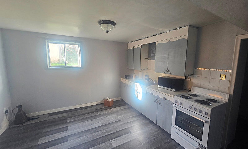 2 Bedroom Basement S...
