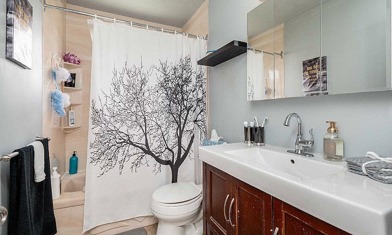 Spacious 4 ×1 Bdrm B...