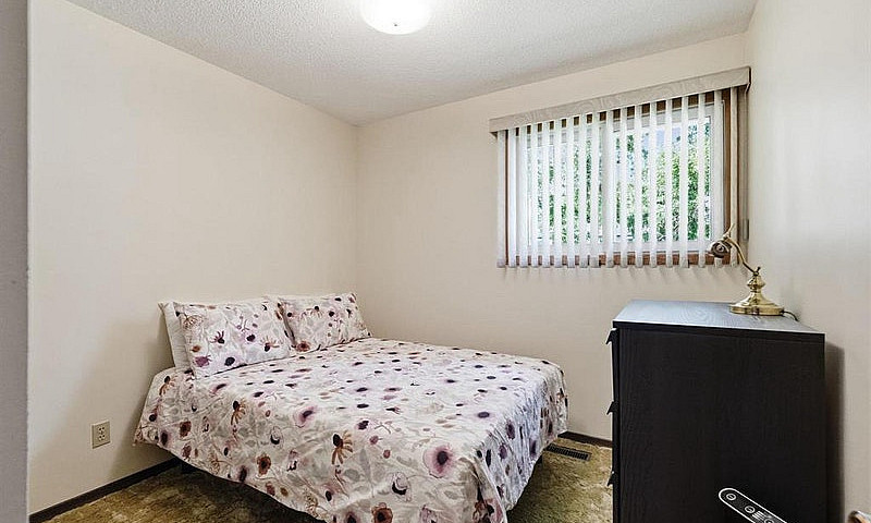  3 Bedroom 2 Bath Bu...