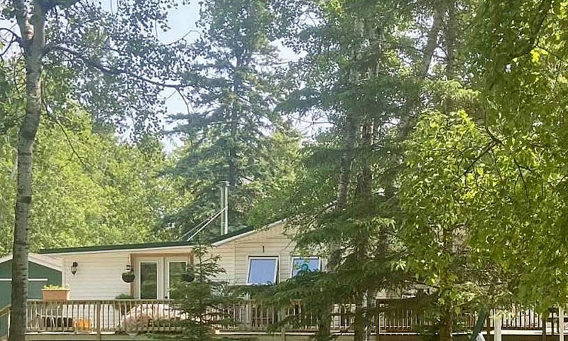 4 Season Cottage: Bu...