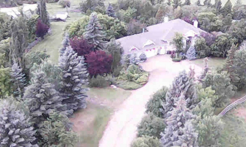 37 Acres With 3 Titl...