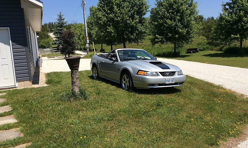 2003 Ford Mustang Gt...