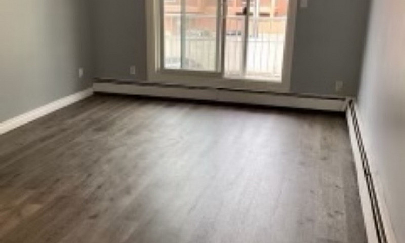 1 Bed 1 Bath Apartme...
