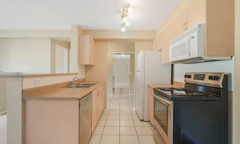 Stylish, Move-In Rea...