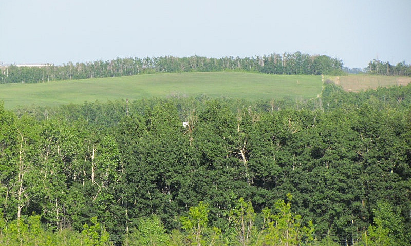 Bare Acreage Lot For...