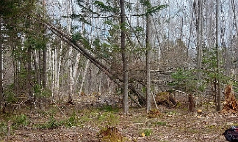 Land For Sale In Mar...