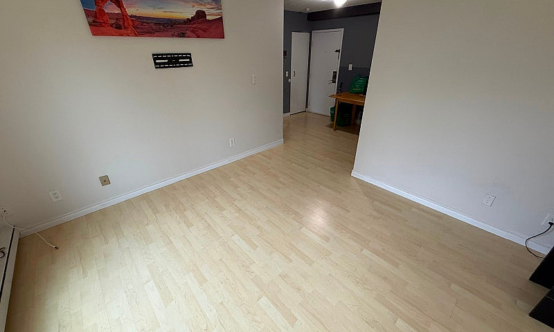 Condo/Apartment For ...