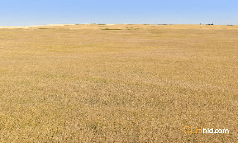 1,116 Acres Farm Lan...