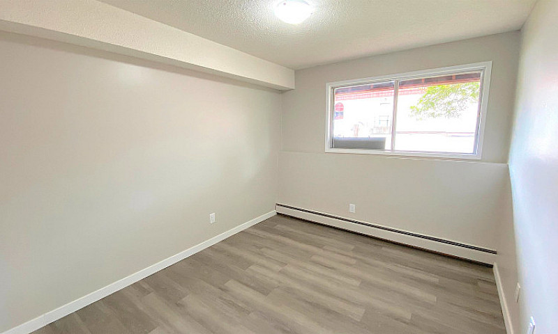 Beautifully Renovate...
