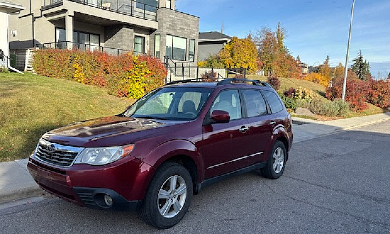 2010 Subaru Forster ...