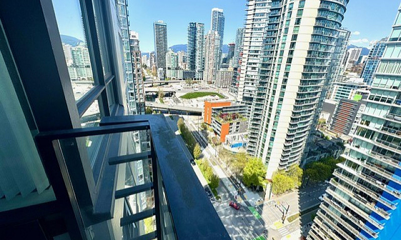 $3,100 / 1Br - 564Ft...