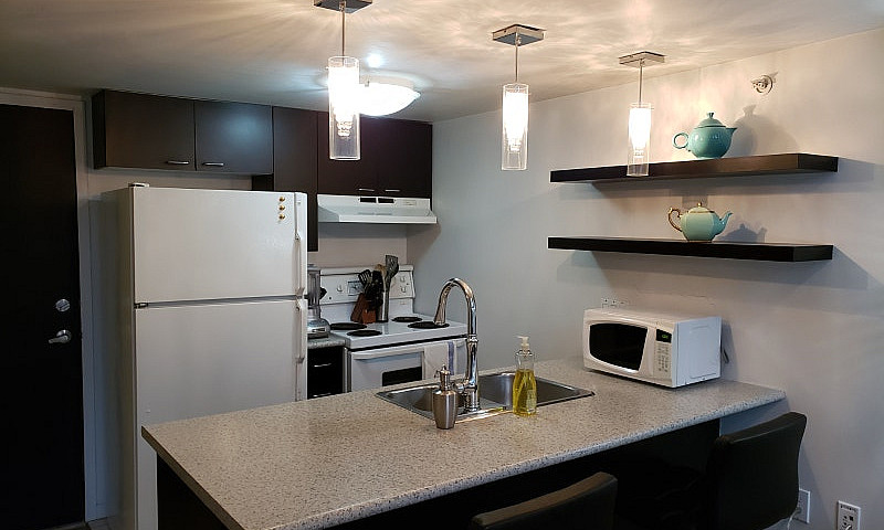 Furnished One Bedroo...