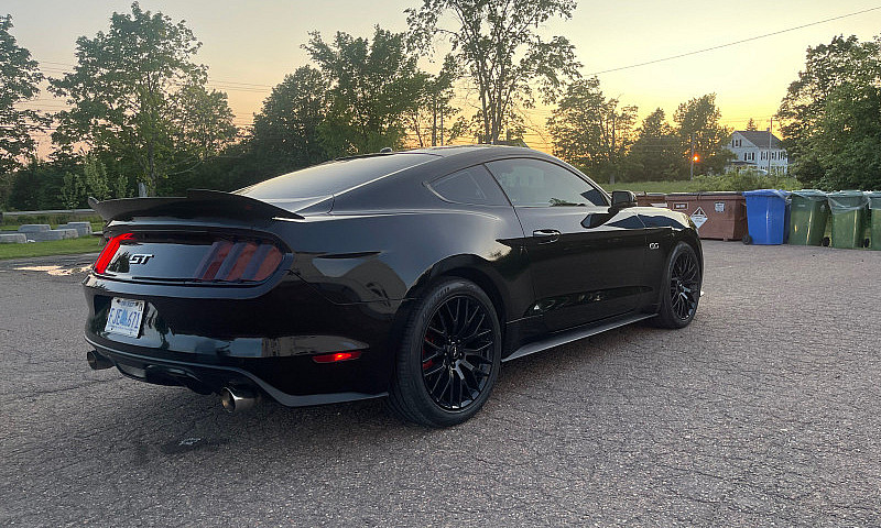 2015 Mustang Gt Pp1 ...