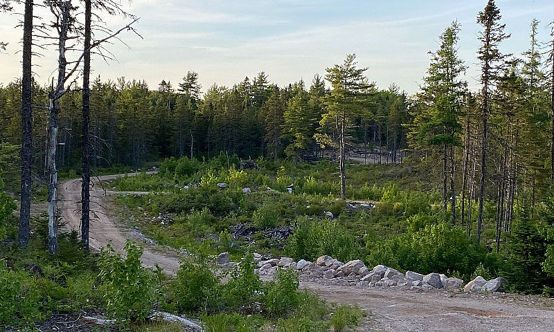 Inland Treed Lots Bl...
