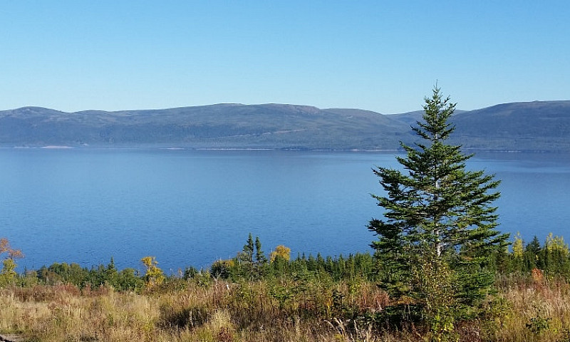 Grand Lake Cabin Lot...