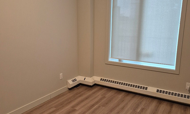 One Bedroom Apartmen...