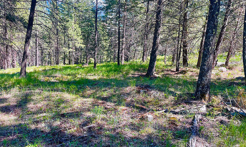  For Sale – 9.5 Acre...
