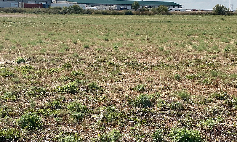 Commercial Lots For ...