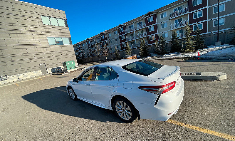 2019 Toyota Camry Se...