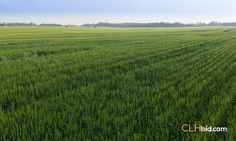 169 Acres Farm Land ...