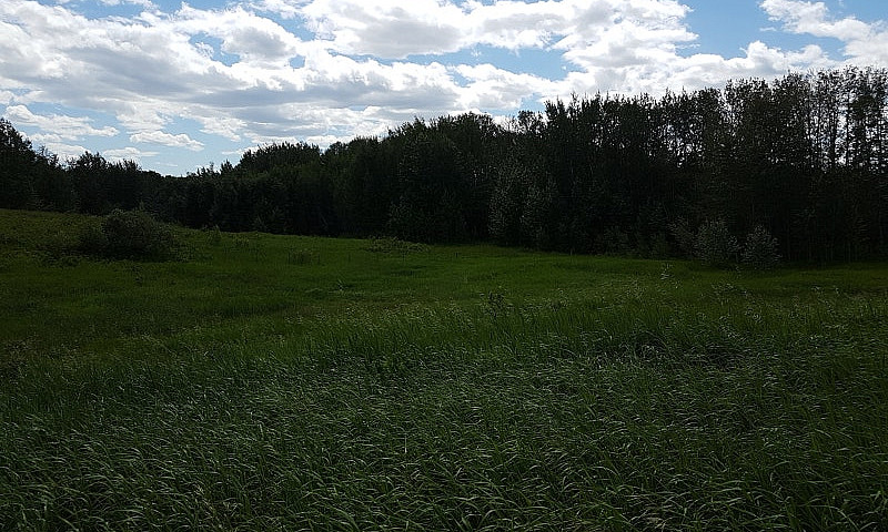 Elk Island Acreage F...