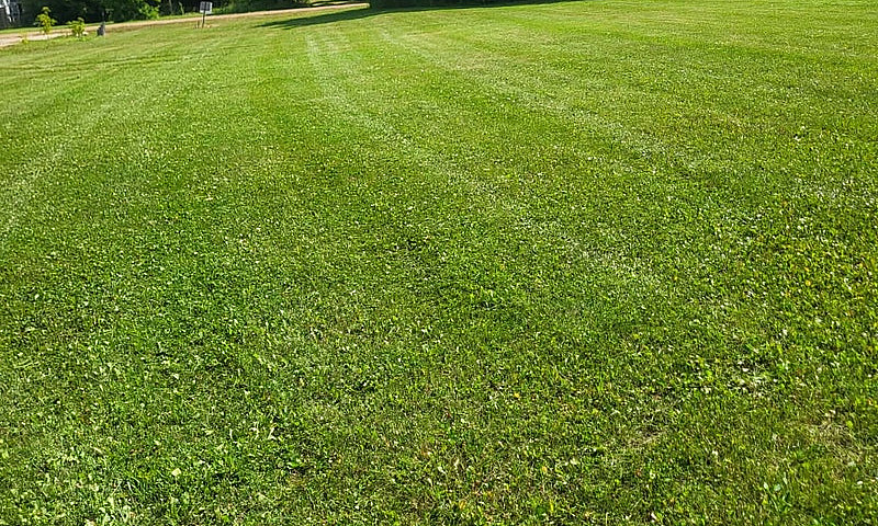 Town Lot For Sale In...