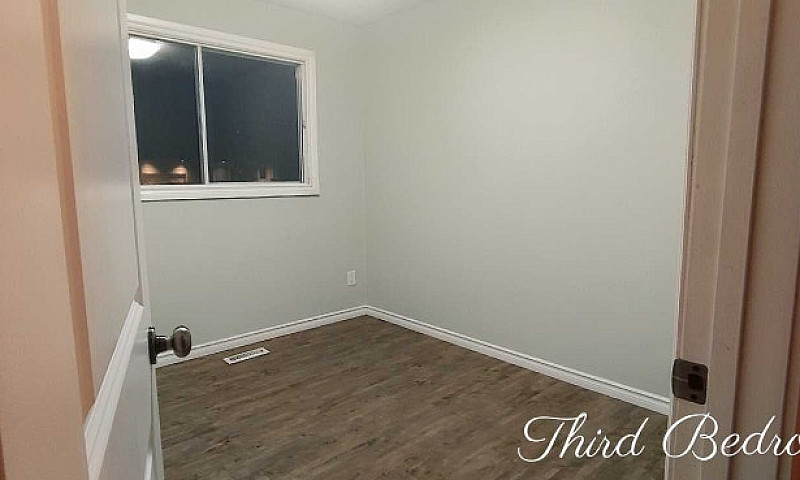 Clean, Spacious, 3 B...