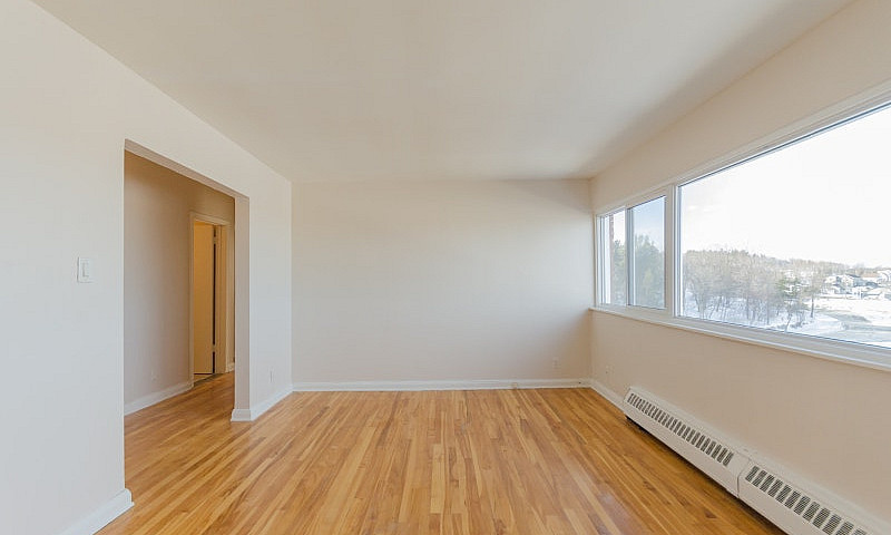 Executive 1-Br Suite...