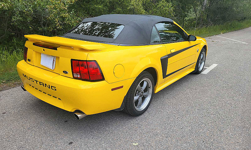 2004 Mustang Gt Conv...