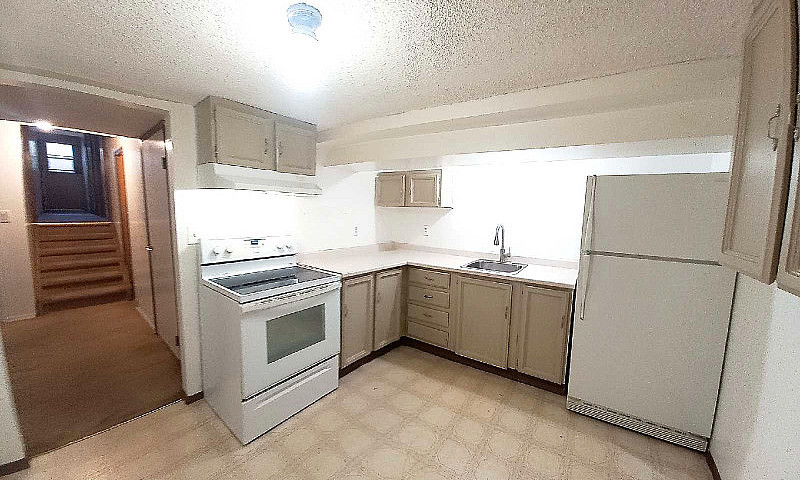 Walkout Basement Tem...