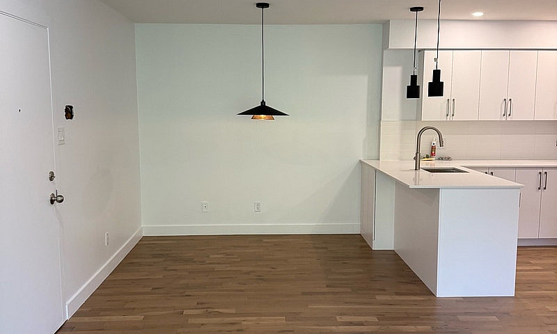 3 1/2 Newly Renovate...