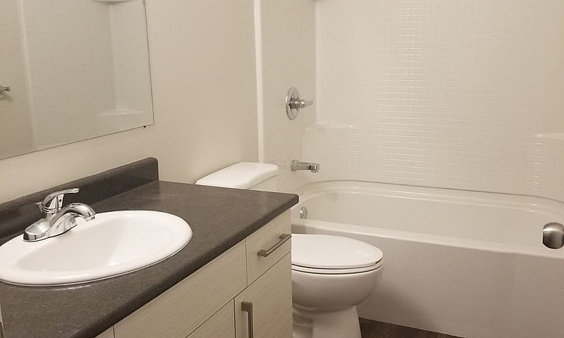 2 Bedroom Basement F...