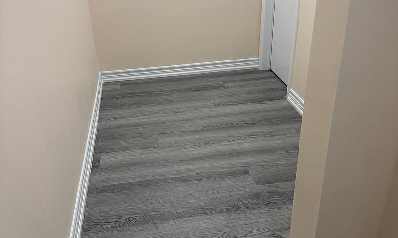Basement For Rent ...