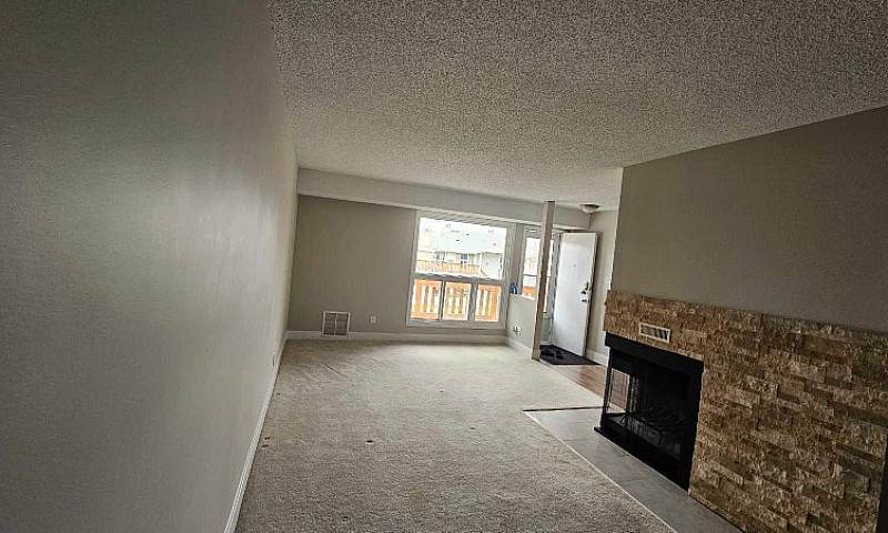3 Bedroom Apartment ...