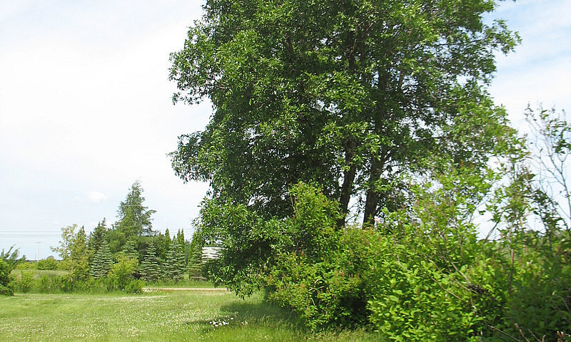 For Sale 1 Acre Lot ...