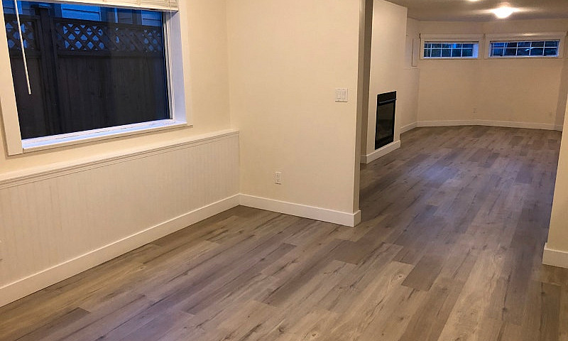 Beautiful Basement S...