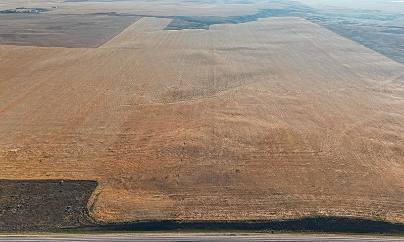 17Q Of Grain Land Al...