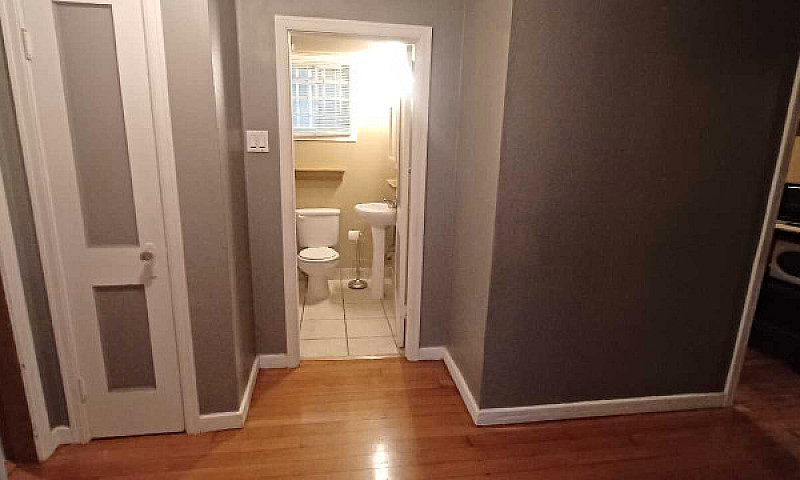 One Bedroom Basement...