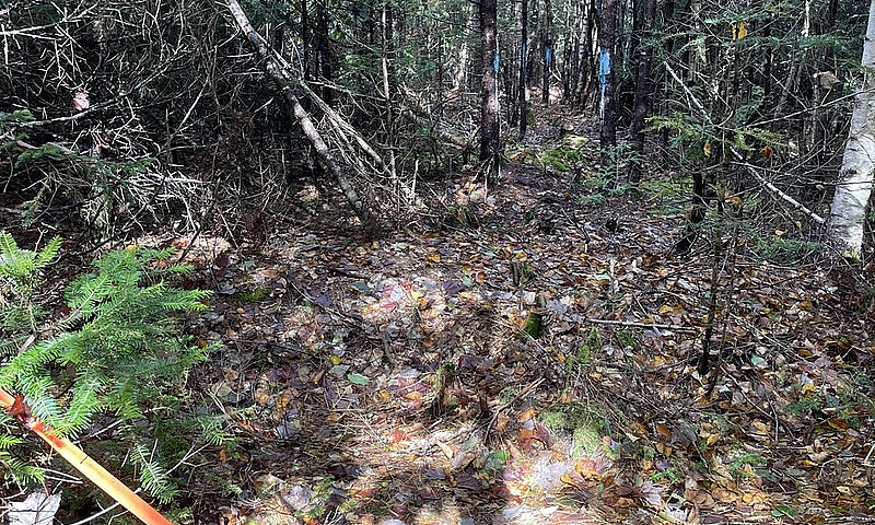 1/4 Acre Near Kejimk...