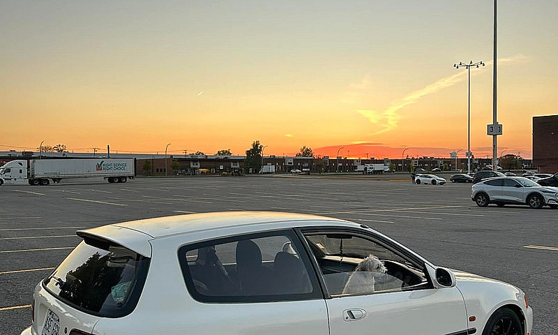 Honda Civic Eg6 Rhd...