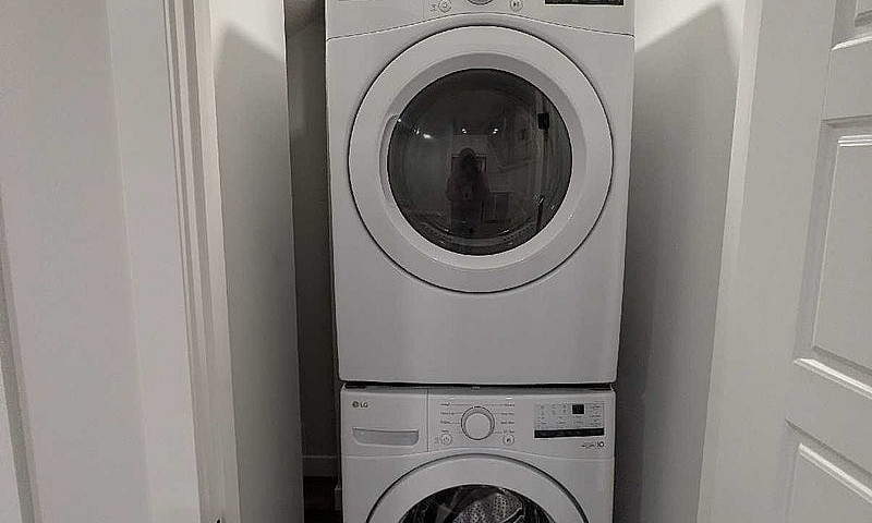 Pet Friendly Legal B...